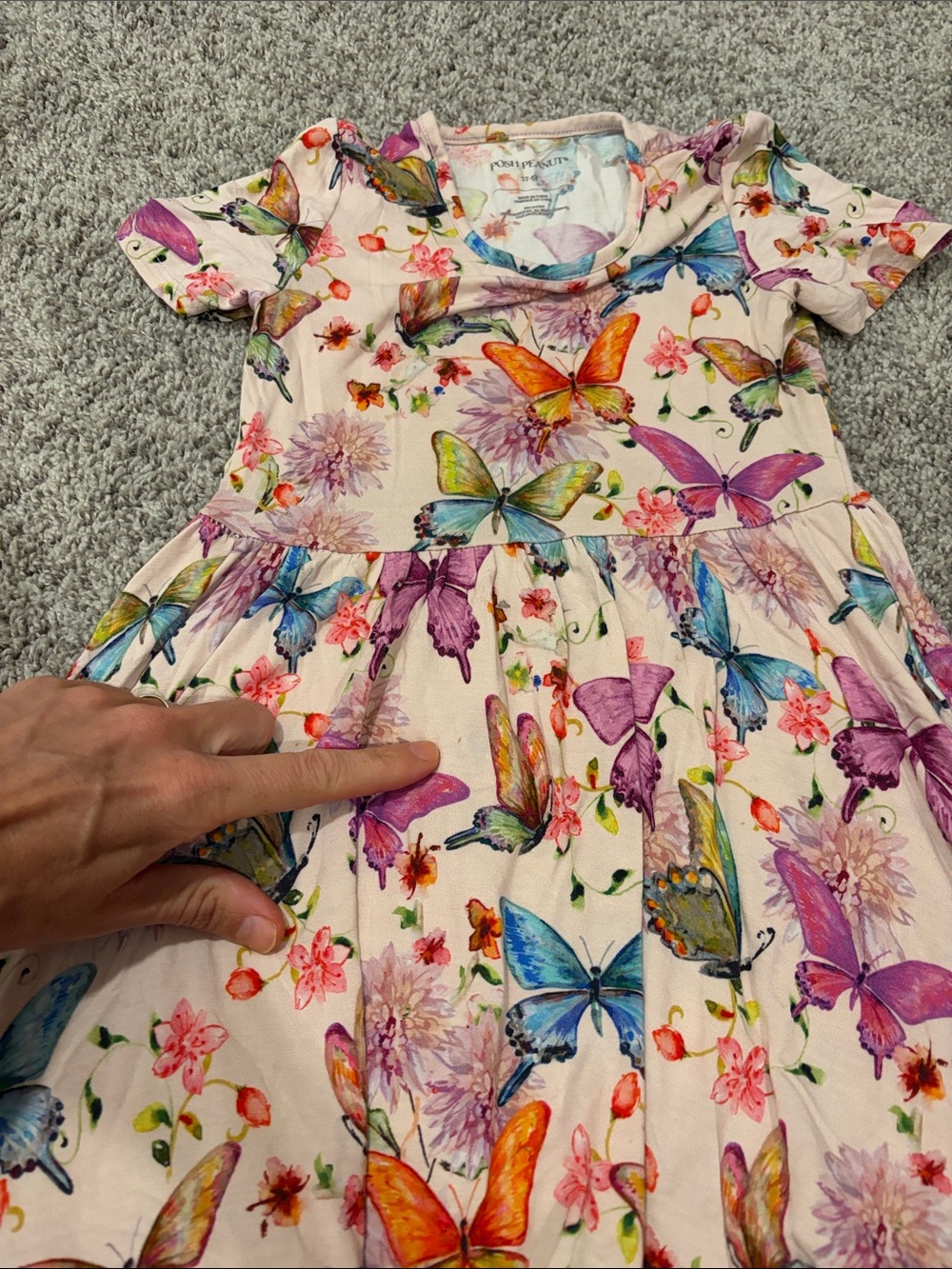 VGUC Posh Peanut Watercolor Butterfly Shirt Sleeve Ruffled Twirl Dress 5t/6t - Picture 4 of 6